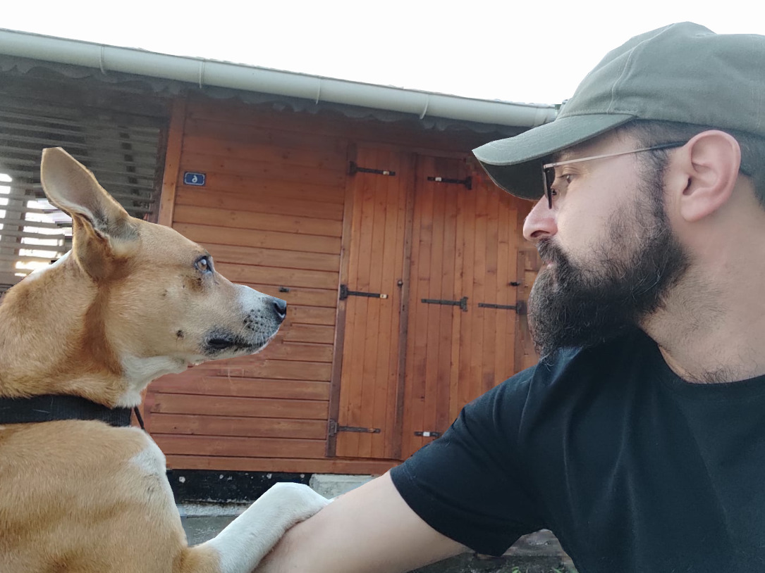 Chien en séance d'éducation