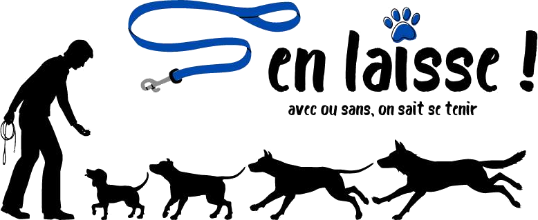 Logo S'en Laisse